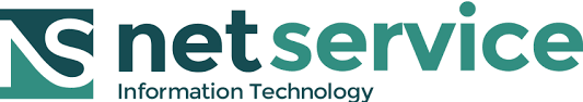 NetService